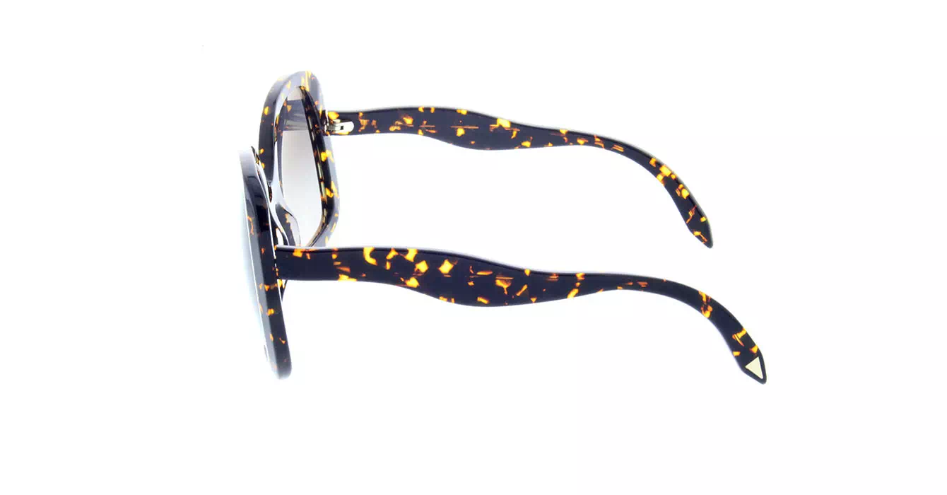 VictoriaBeckham VBS126 col C2