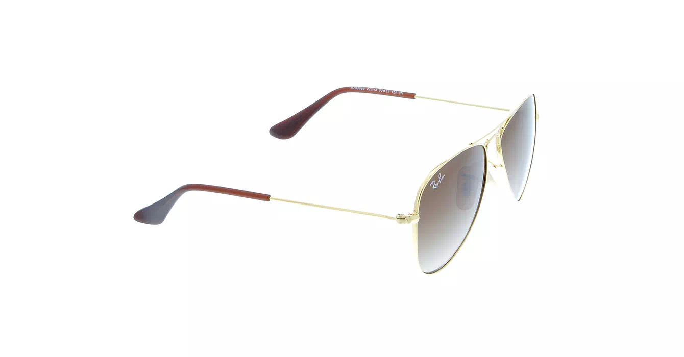 Ray-Ban RJ9506S col 223/13 s50
