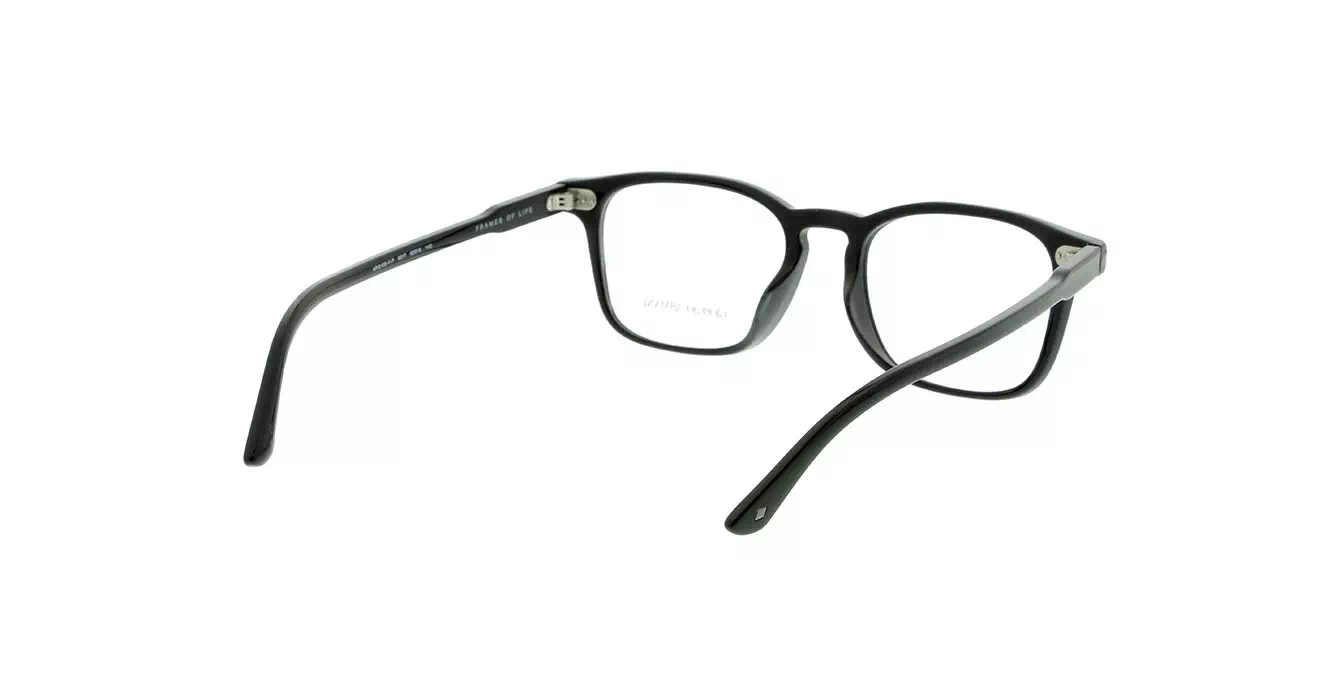 Giorgio Armani AR8103-V-F col 5017 s53