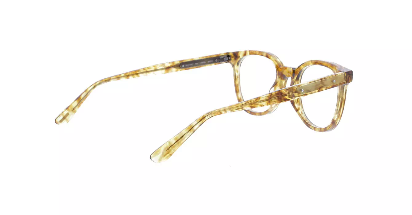 Bottega Veneta BV0115O col 002 s49