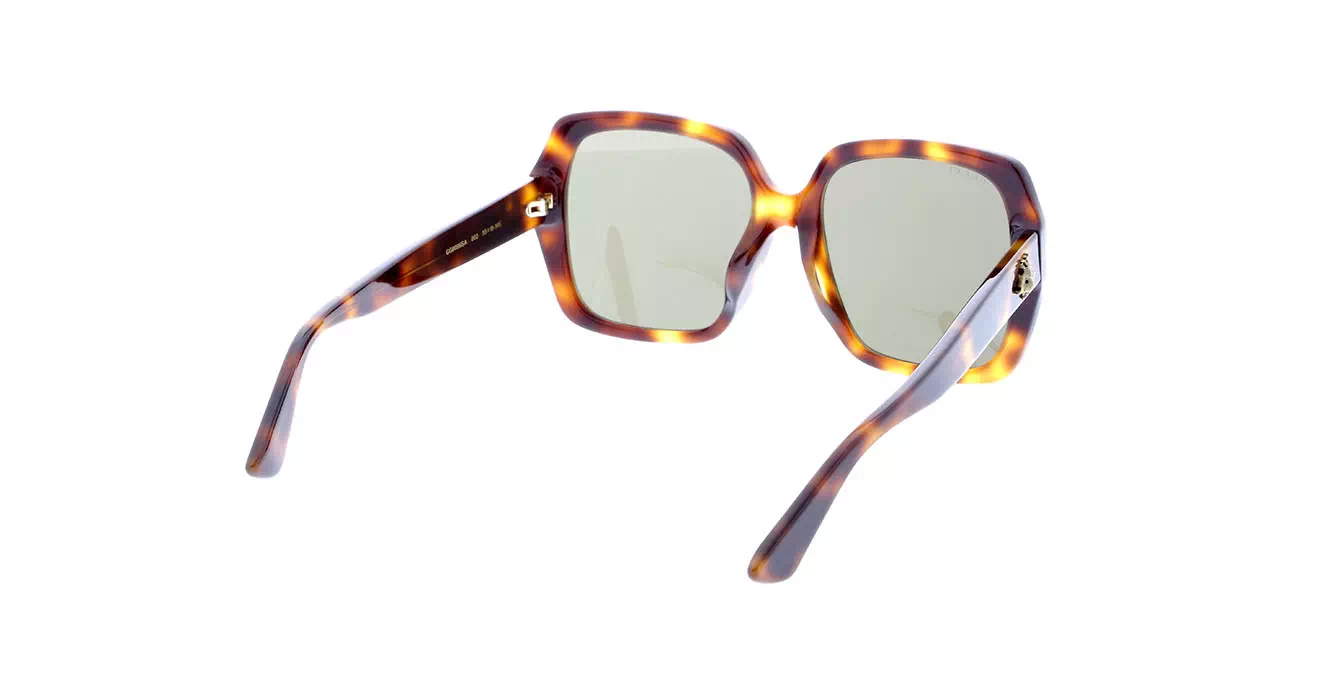 Gucci GG0096SA col 002 s55