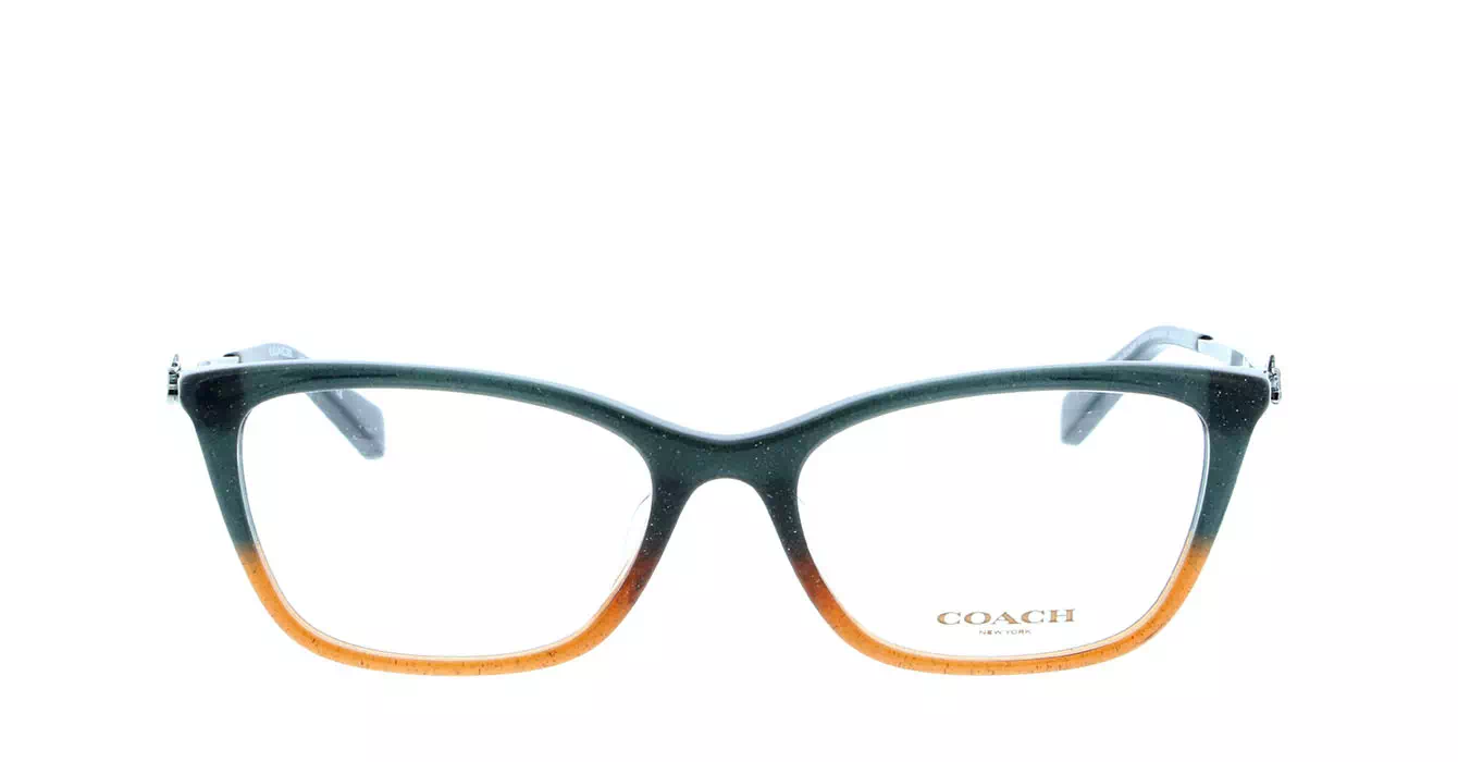 Coach HC6107F col 5475 s54