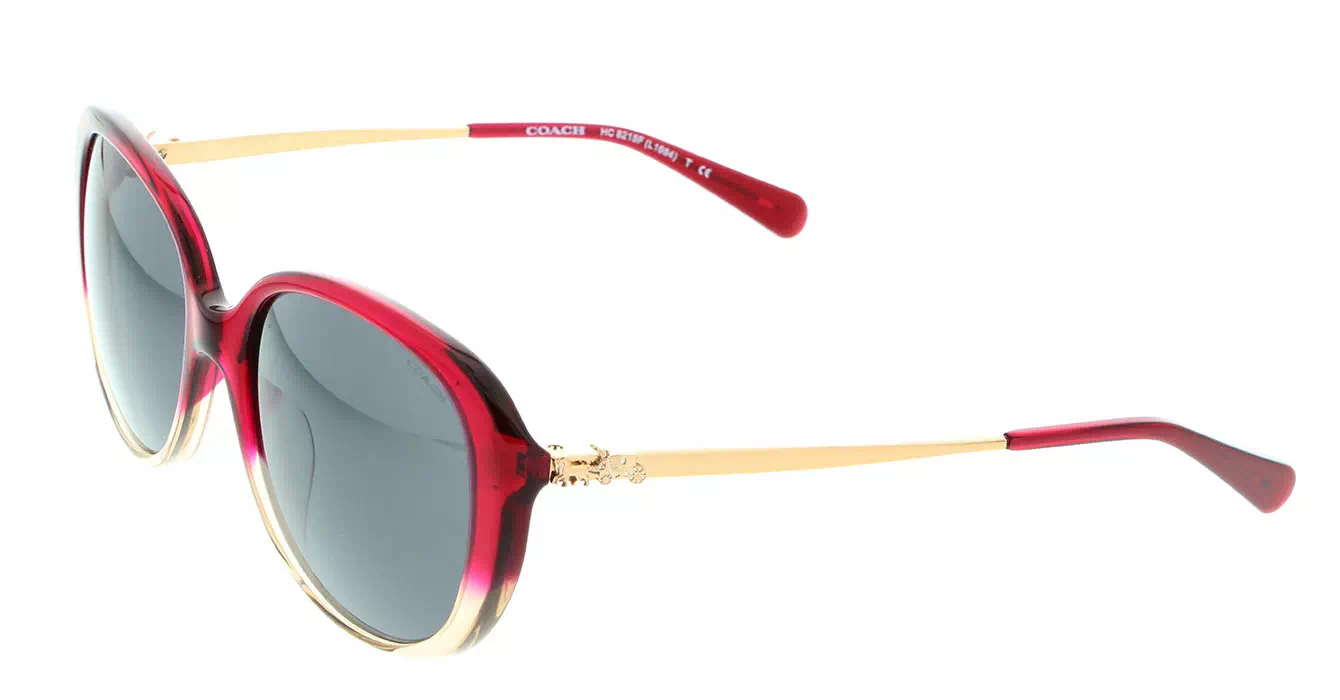 Coach HC8215F col 5473/87 s57