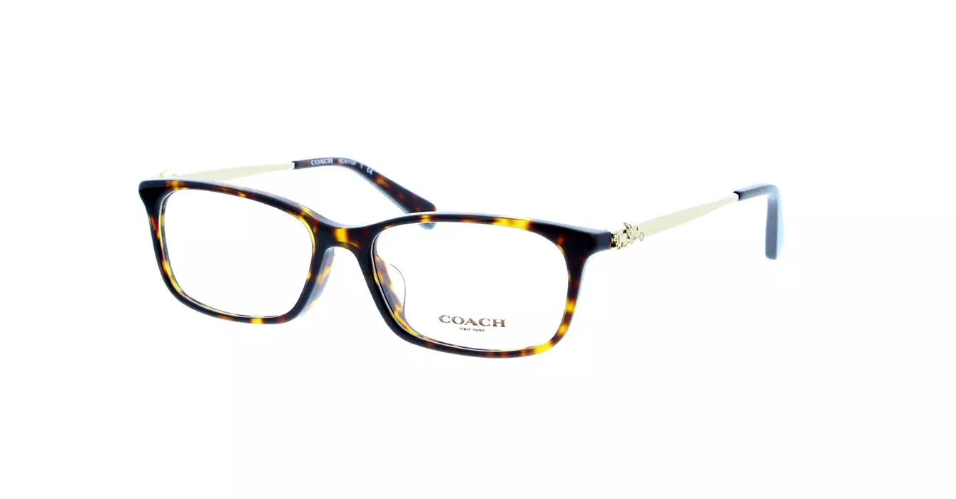 Coach HC6110F col 5485 s54