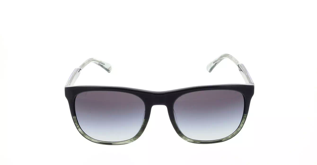 Emporio Armani EA4099F col 5572/8G s56