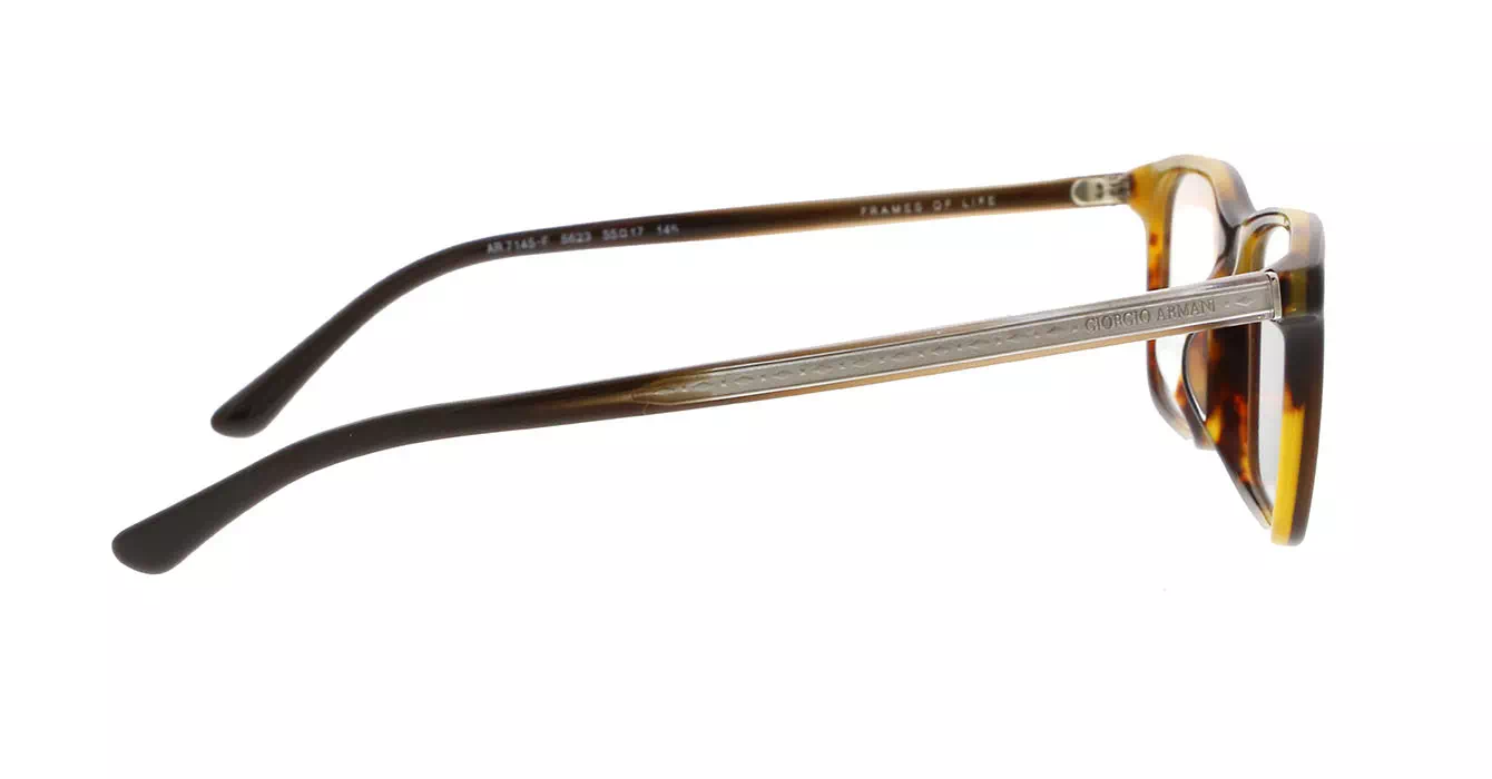 Giorgio Armani AR7145-F col 5623 s55