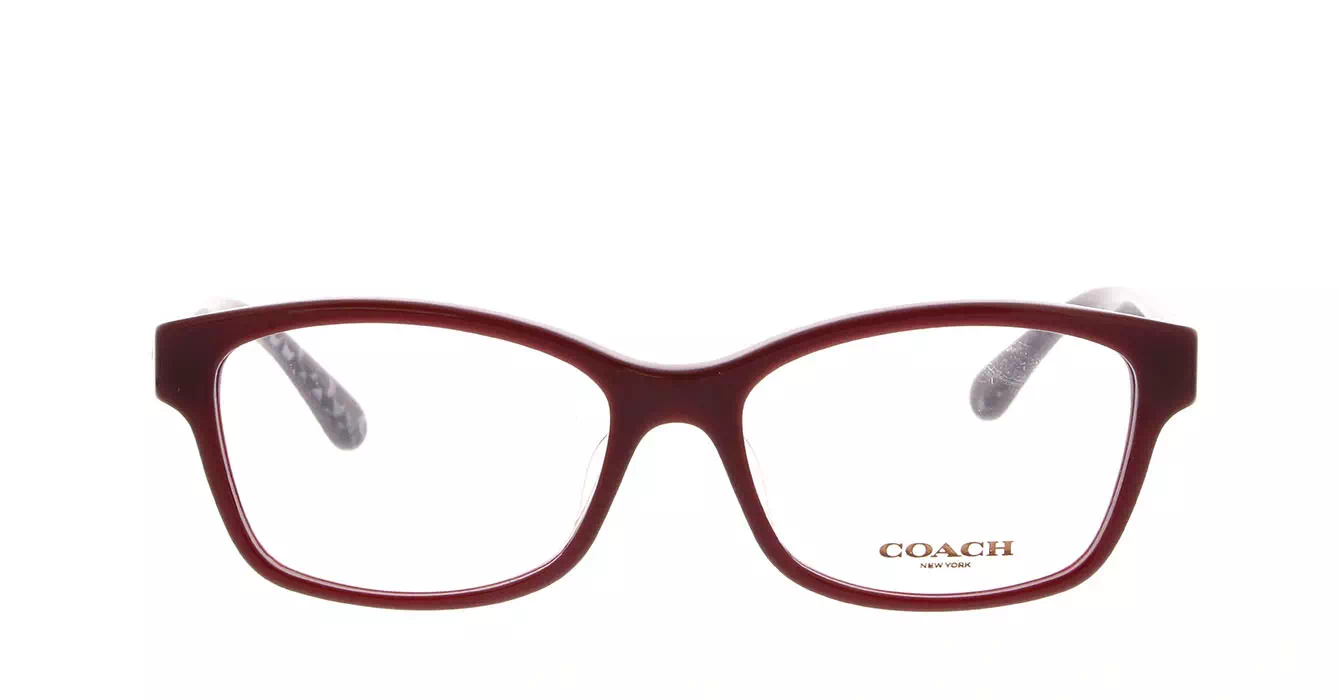 Coach HC6116F col 5509 s54
