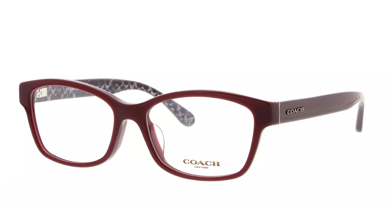 Coach HC6116F col 5509 s54