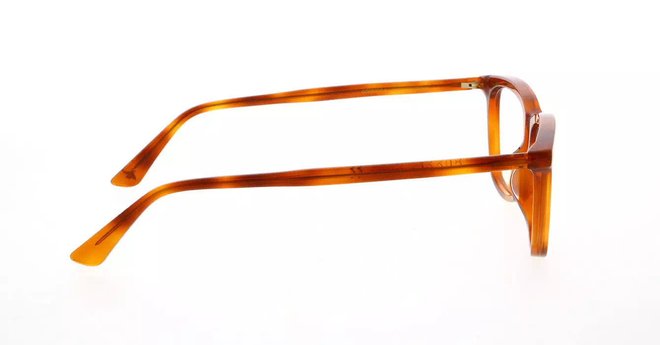 Gucci GG0042OA col 005 s55