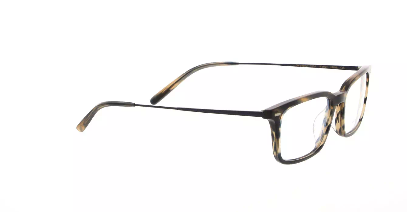 Oliver Peoples OV5366U col 1614 s52