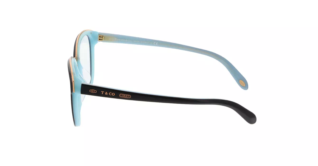 Tiffany&co TF2162-F col 8055 s53