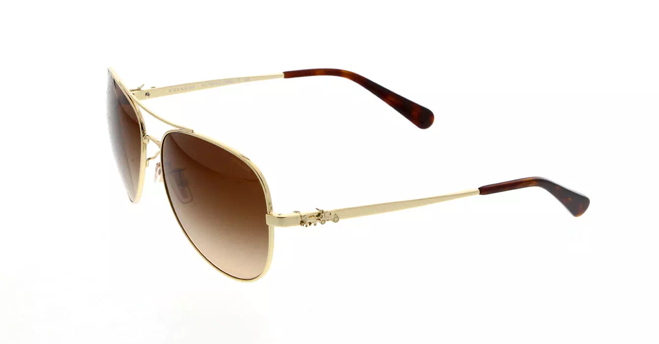 Coach HC7074 col 9310/13 s59
