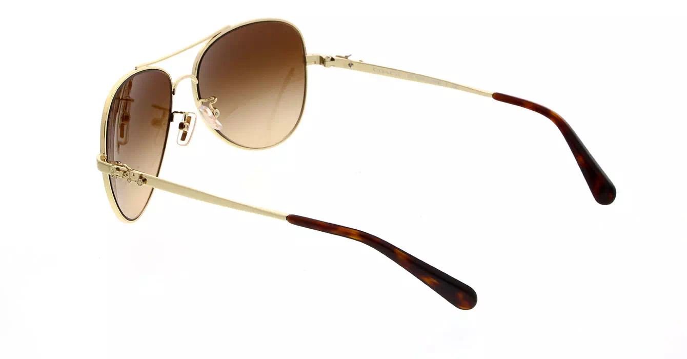 Coach HC7074 col 9310/13 s59