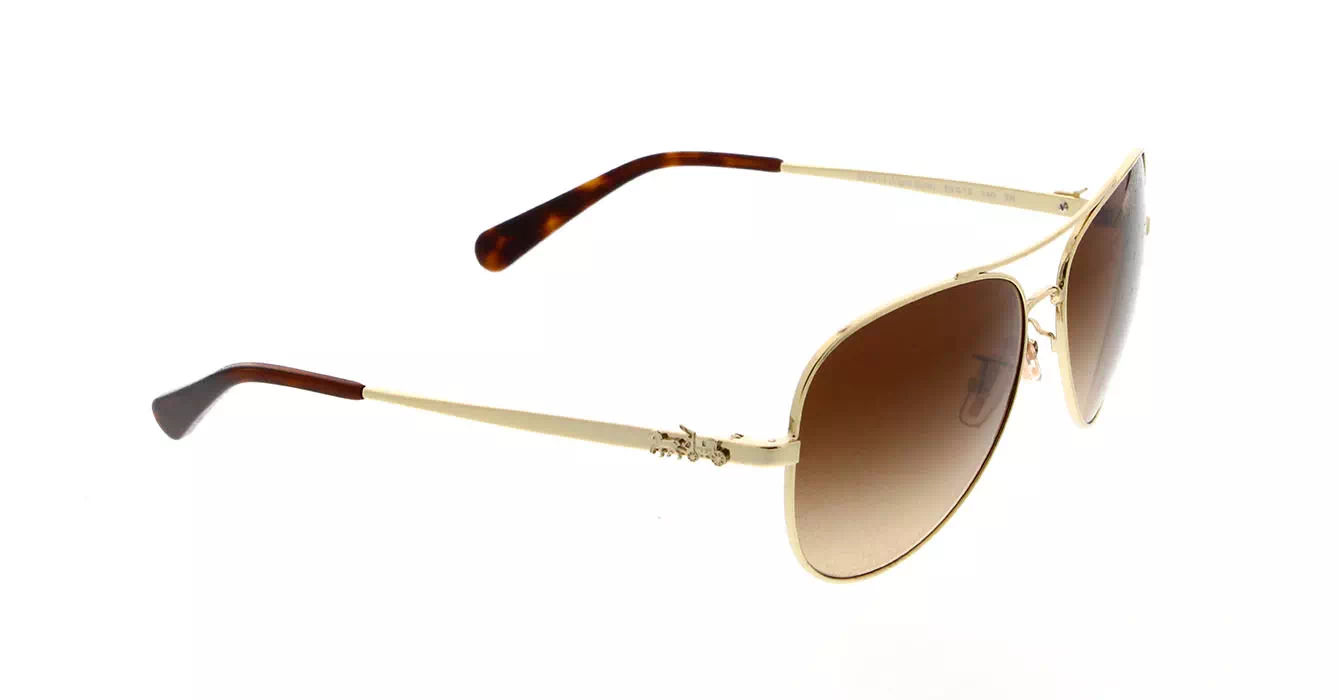 Coach HC7074 col 9310/13 s59
