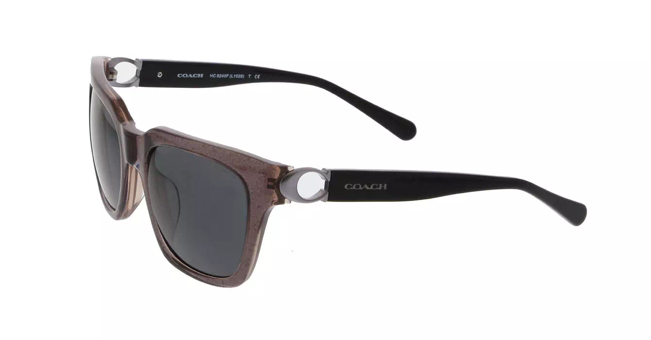 Coach HC8240F col 5447/87 s52