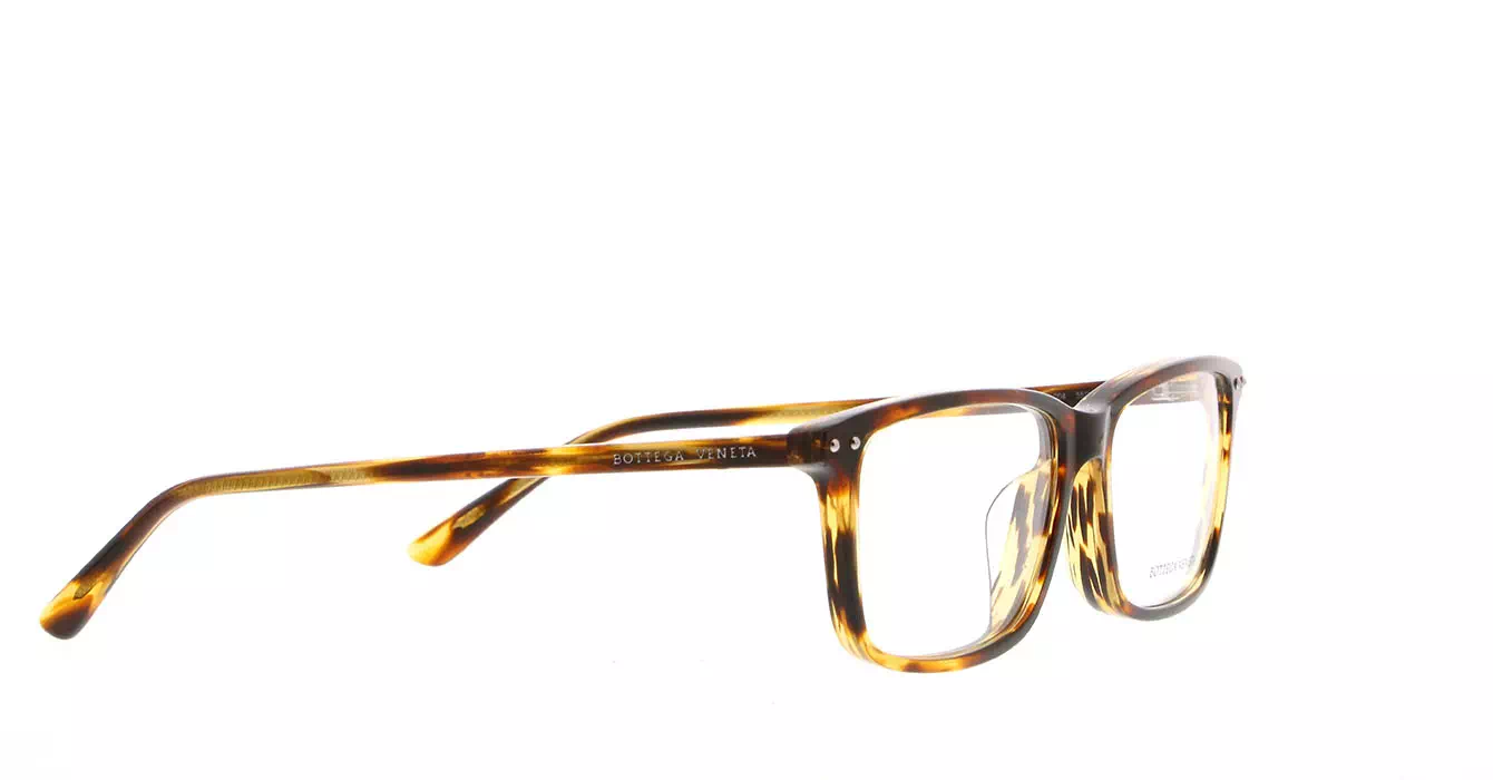 Bottega Veneta BV0163OA col 004 s55