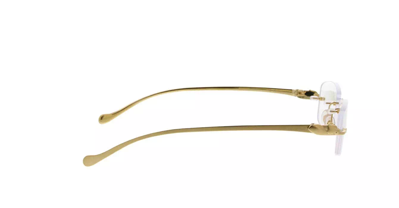 Cartier CT0061O col 002