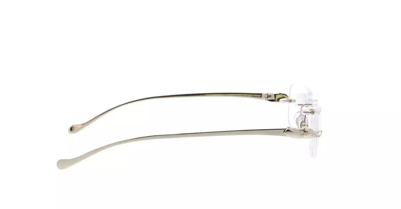 Cartier CT0061O col 003