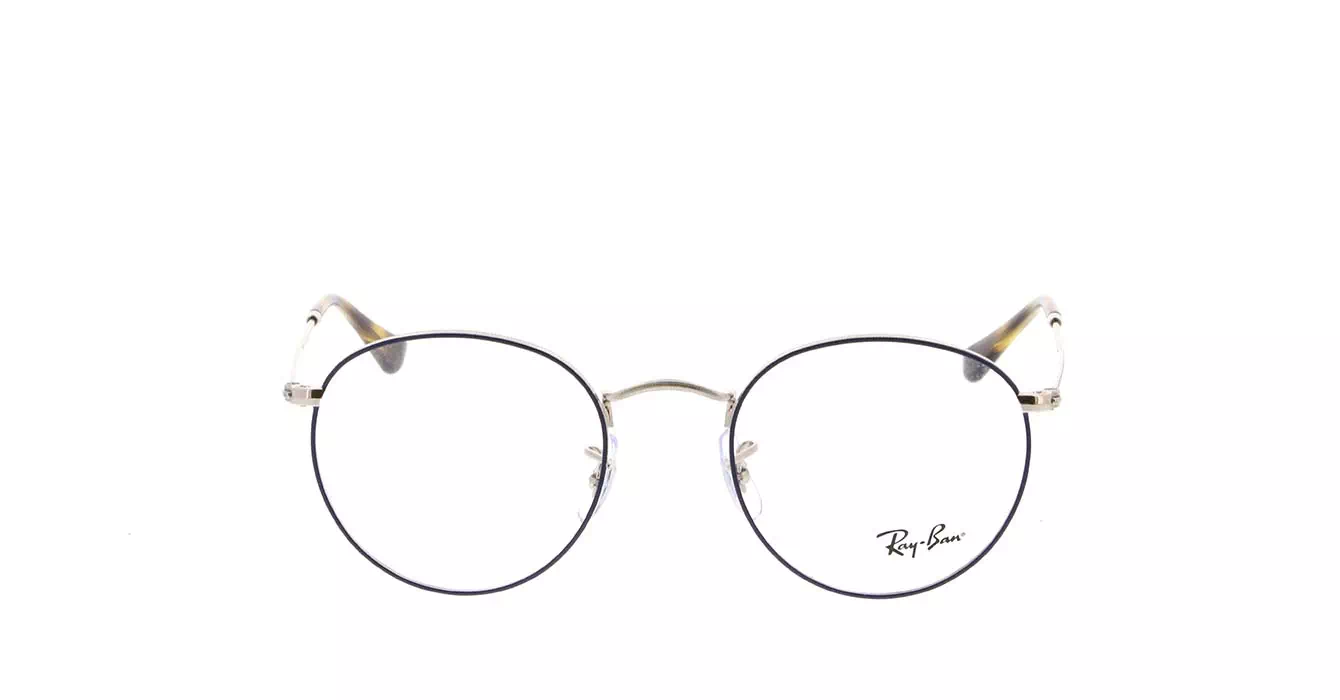 Ray-Ban RB3447V col 2970 s50