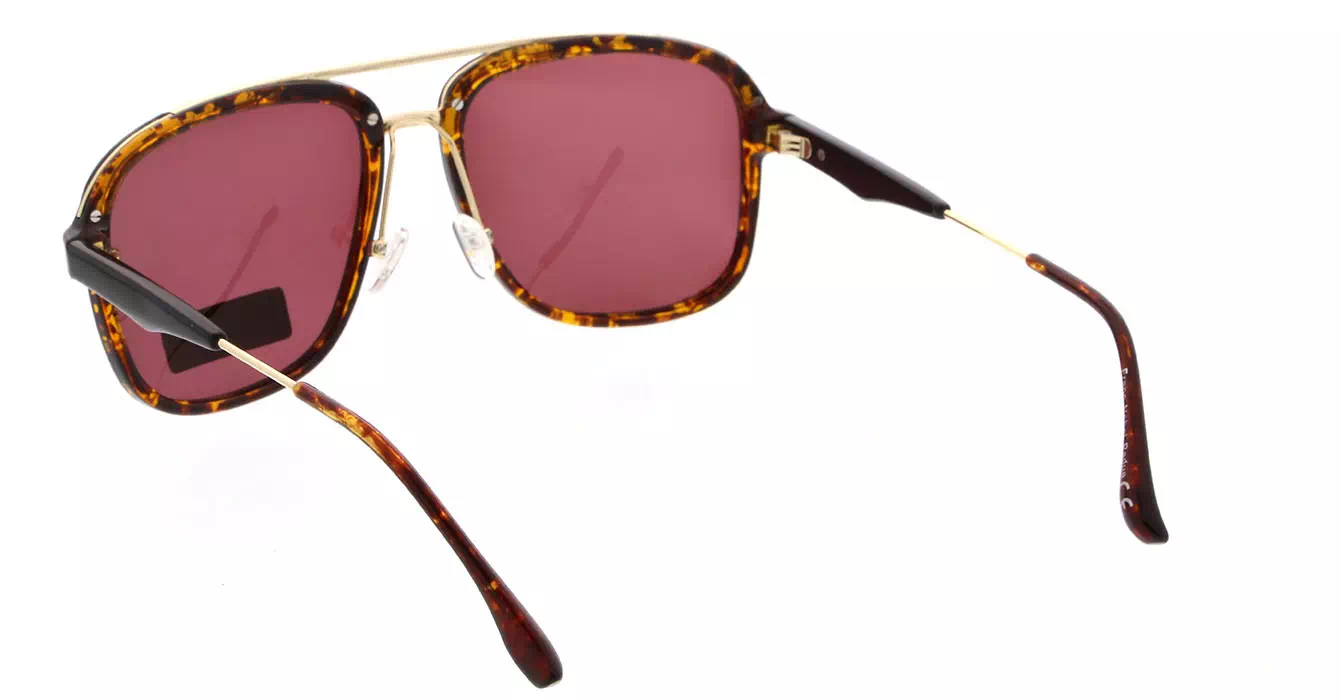 Franc Nobel 17025 col 05 s56 POLARIZED PADUA