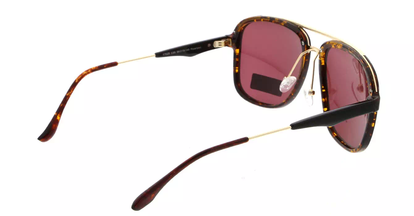 Franc Nobel 17025 col 05 s56 POLARIZED PADUA