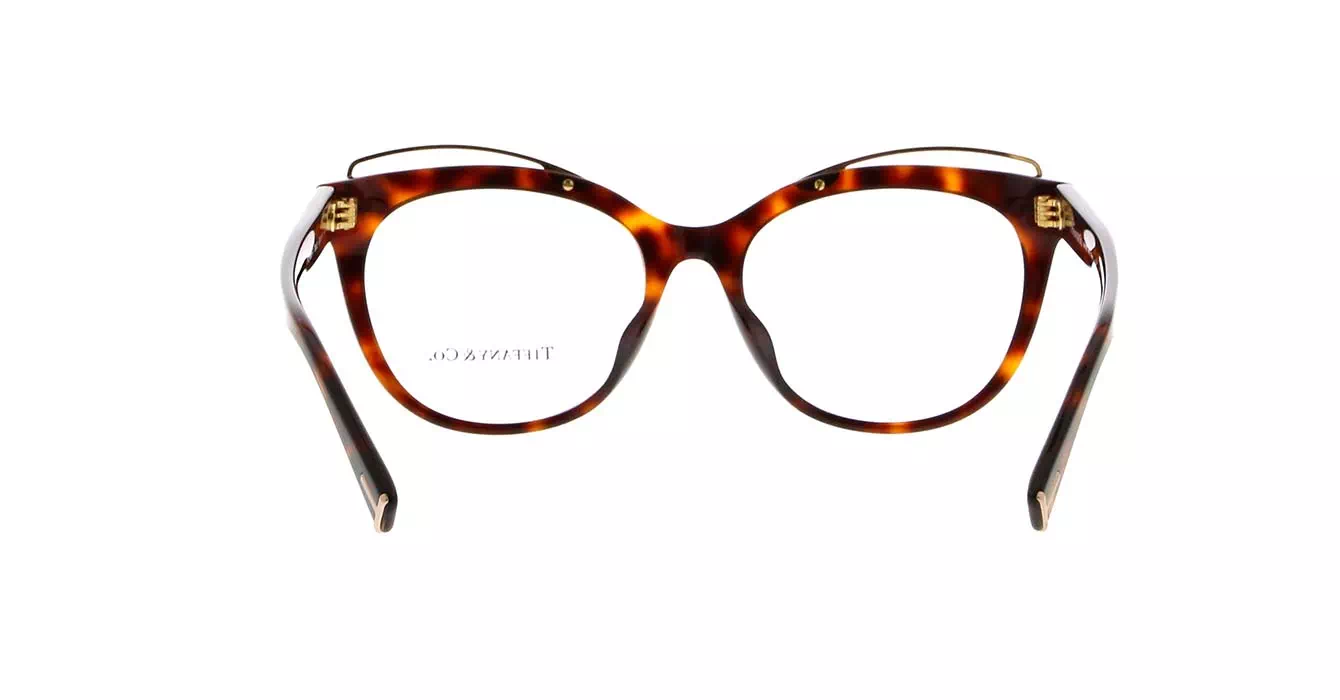 Tiffany&co TF2166-F col 8002 s53