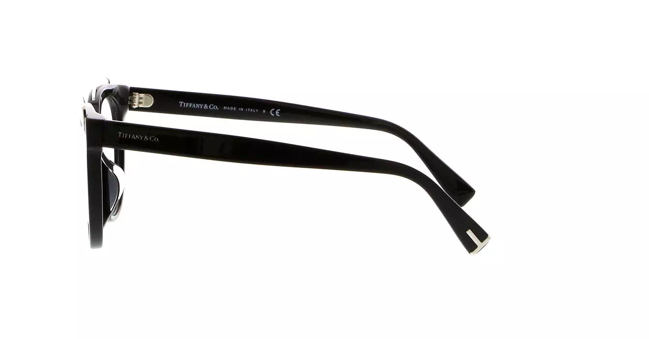 Tiffany&co TF2166-F col 8001 s53