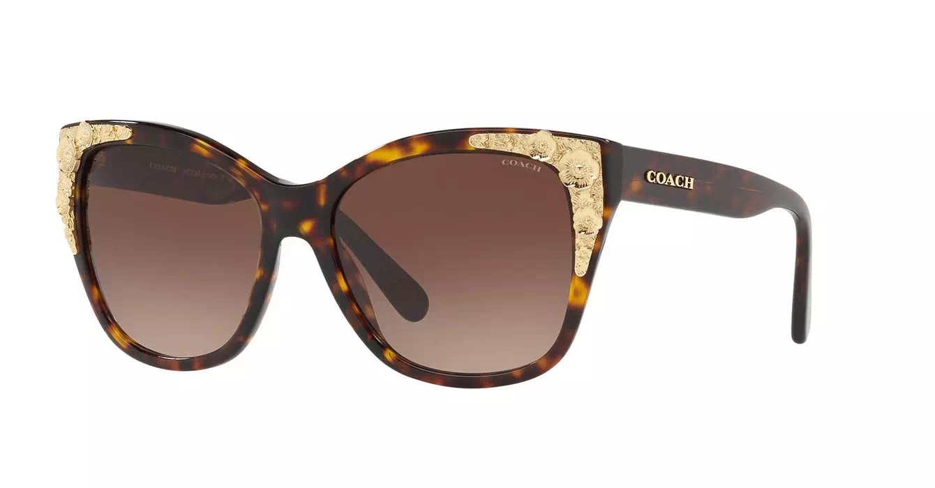 Coach HC8244F col 5417/13 s56