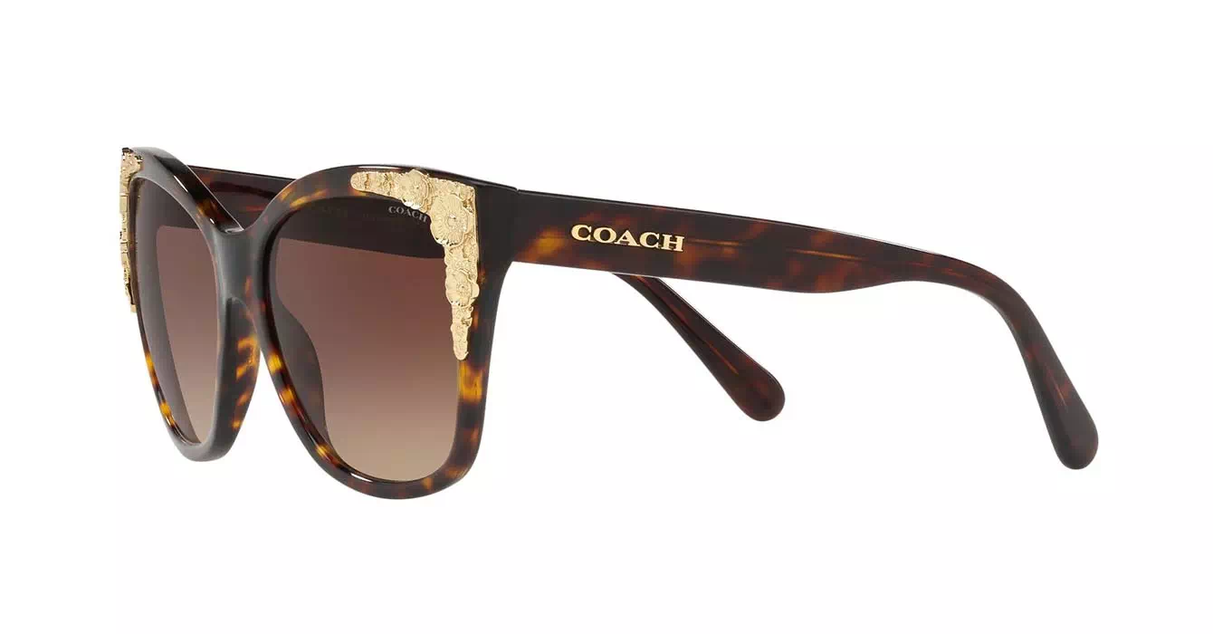 Coach HC8244F col 5417/13 s56