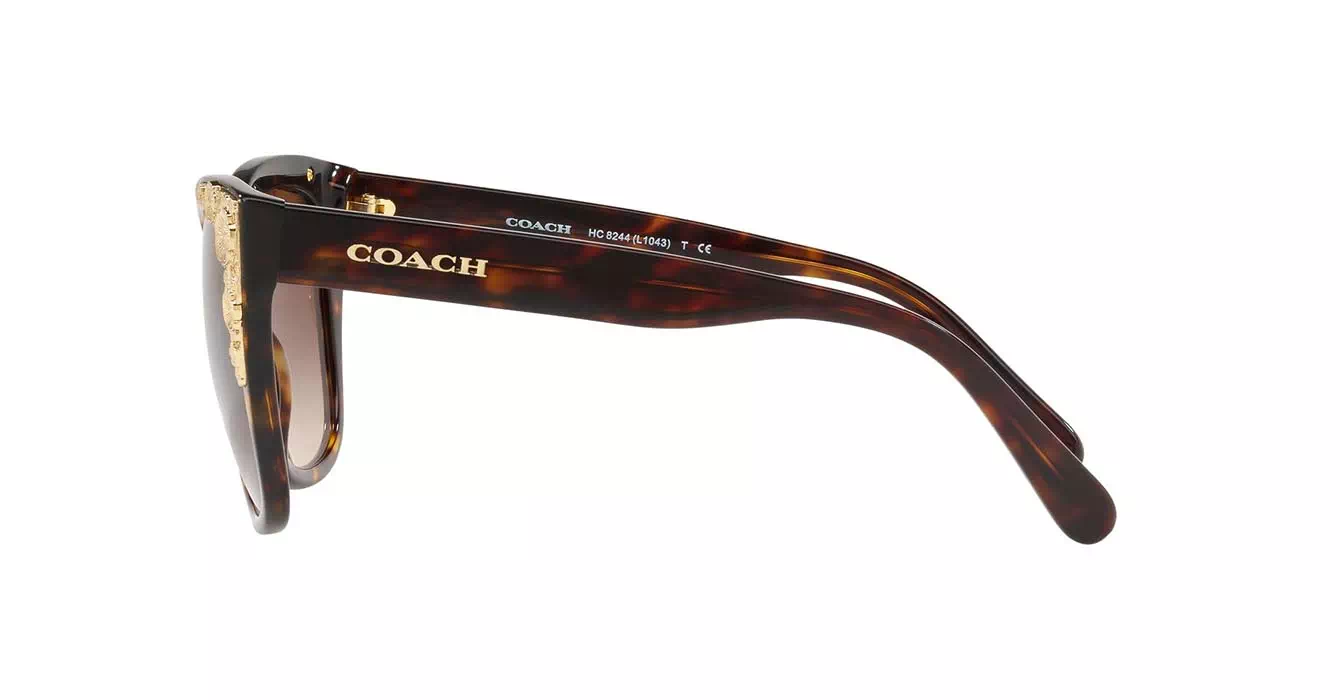 Coach HC8244F col 5417/13 s56