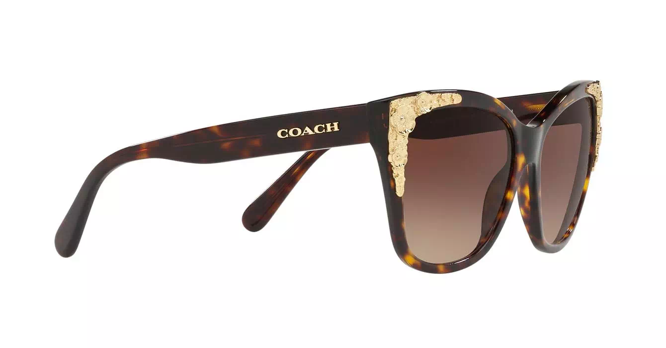 Coach HC8244F col 5417/13 s56