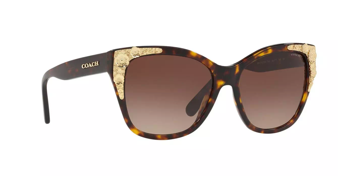 Coach HC8244F col 5417/13 s56