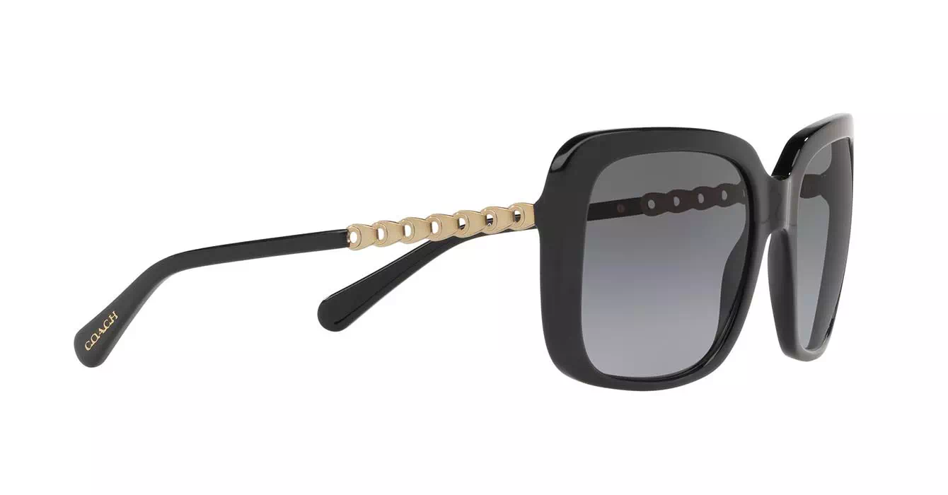 Coach HC8237F col 5002/T3 s57