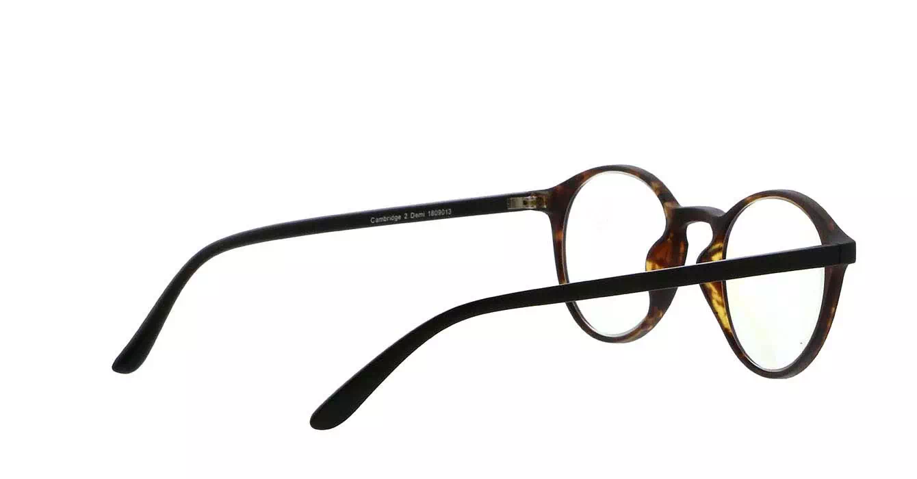 EZ-Reader Cambridge +2.00 Demi
