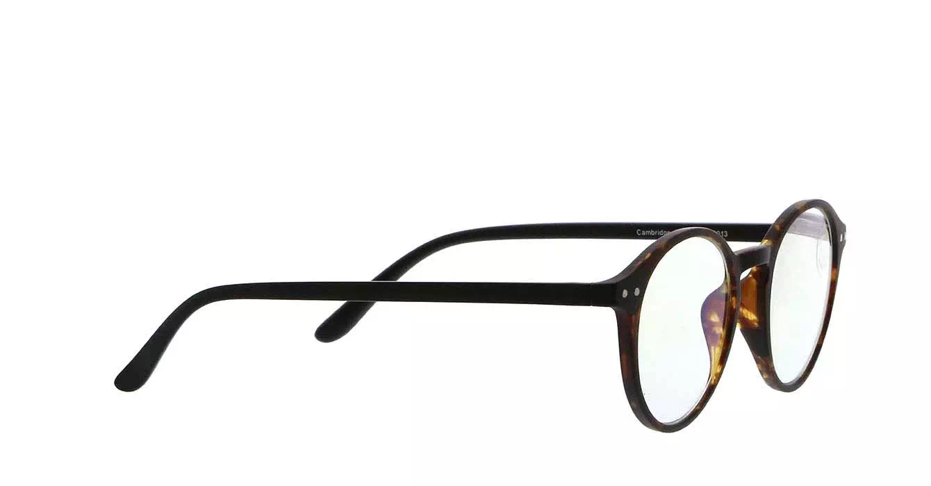 EZ-Reader Cambridge +2.00 Demi