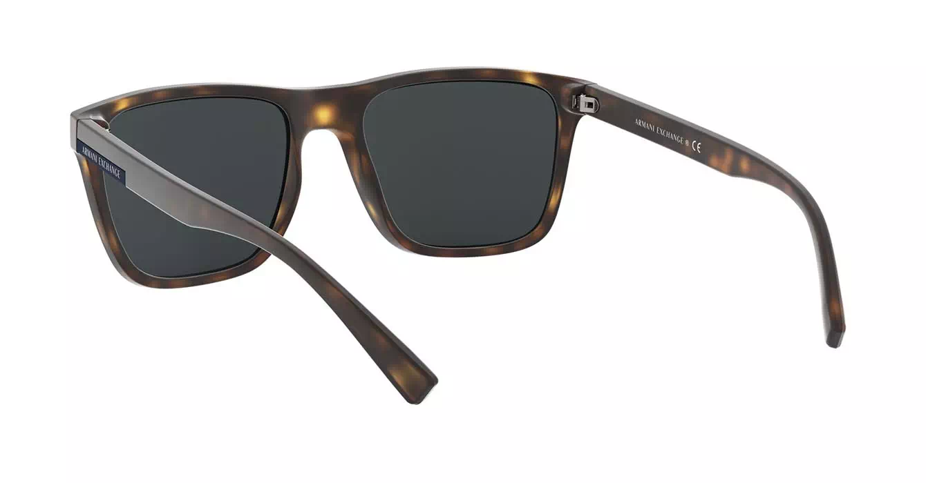 Armani Exchange AX4080SF 8029/80 s57