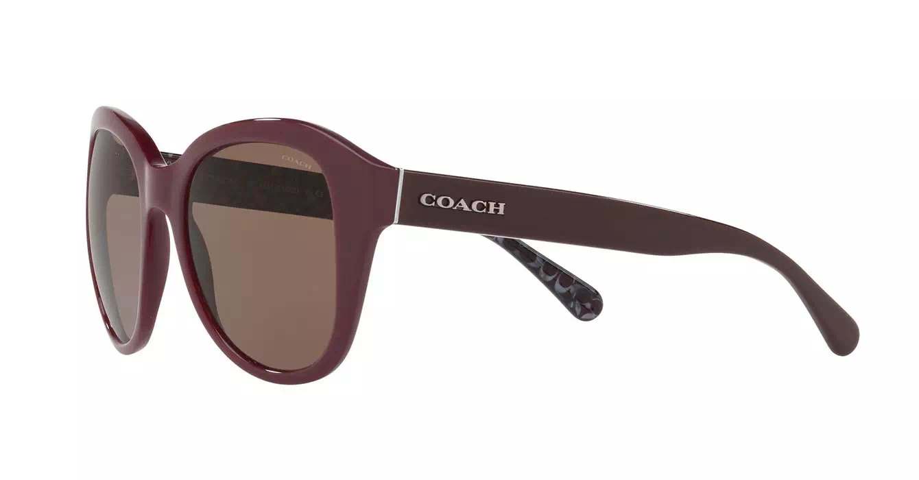 Coach HC8231F 5509/73 s54