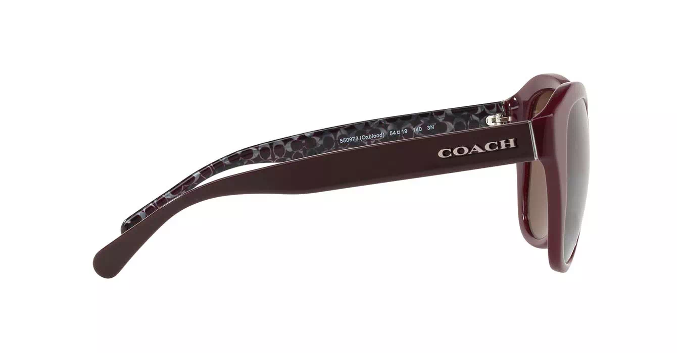 Coach HC8231F 5509/73 s54