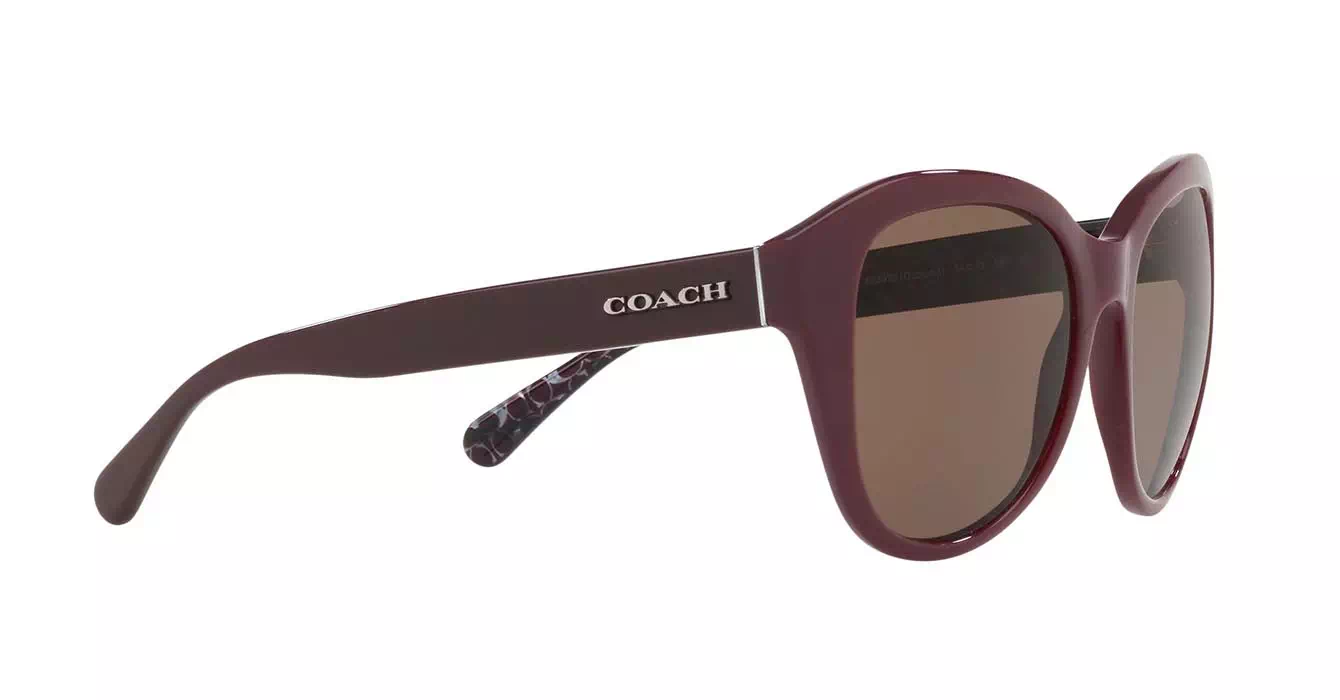 Coach HC8231F 5509/73 s54