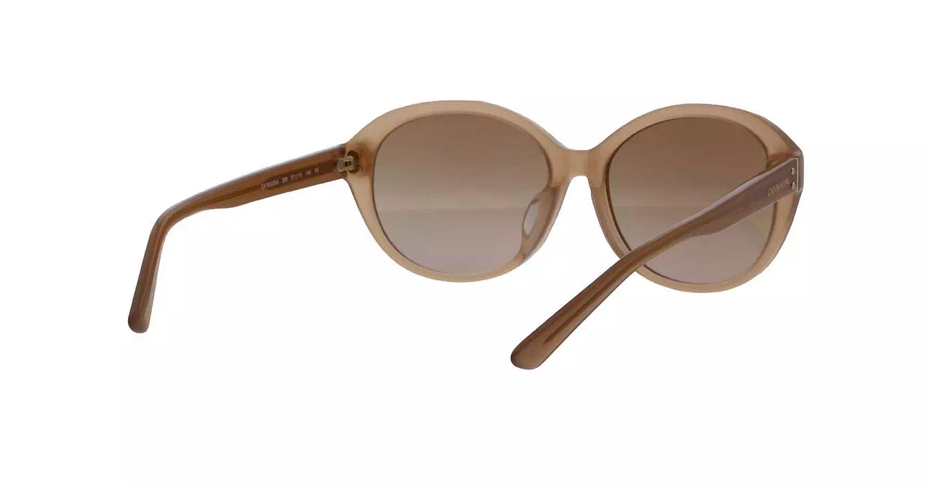 cK Calvin Klein 18520SA 269