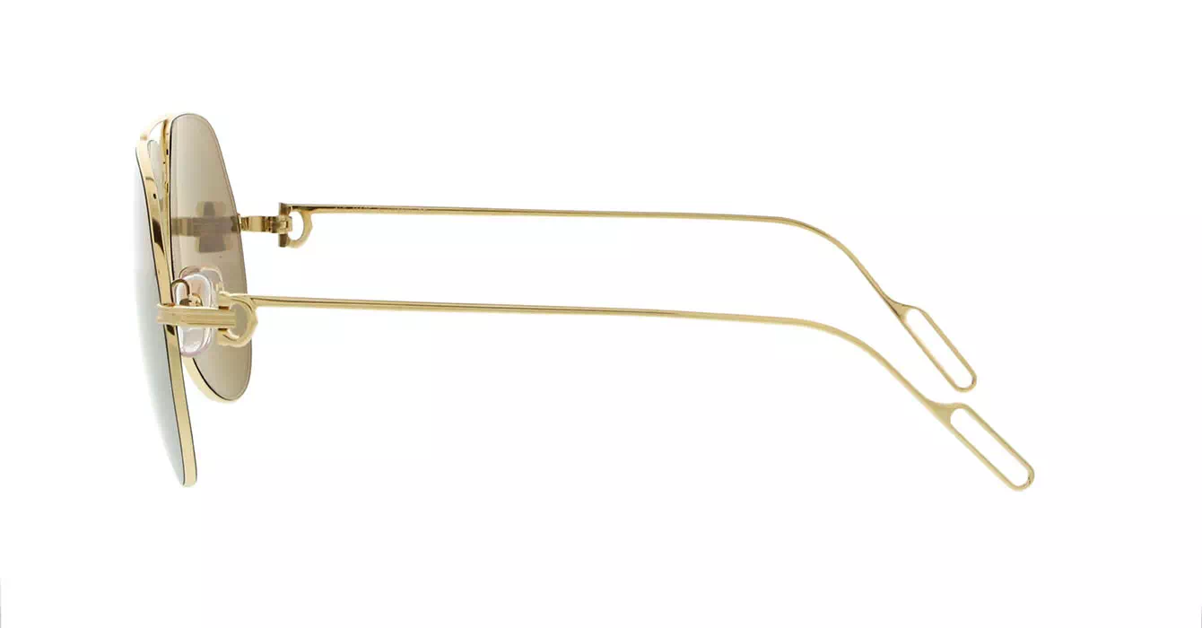 Cartier CT0110S 003