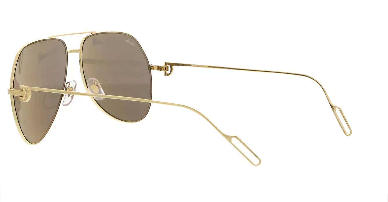 Cartier CT0110S 003