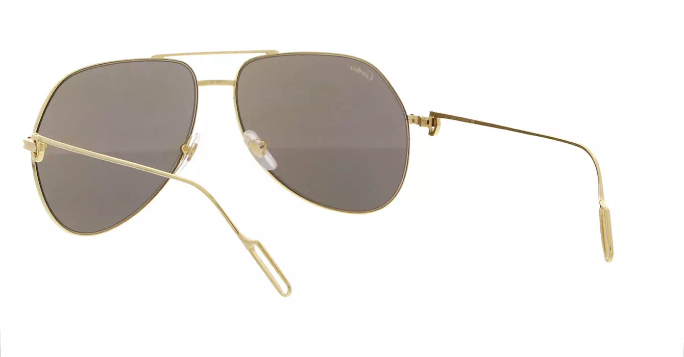 Cartier CT0110S 003