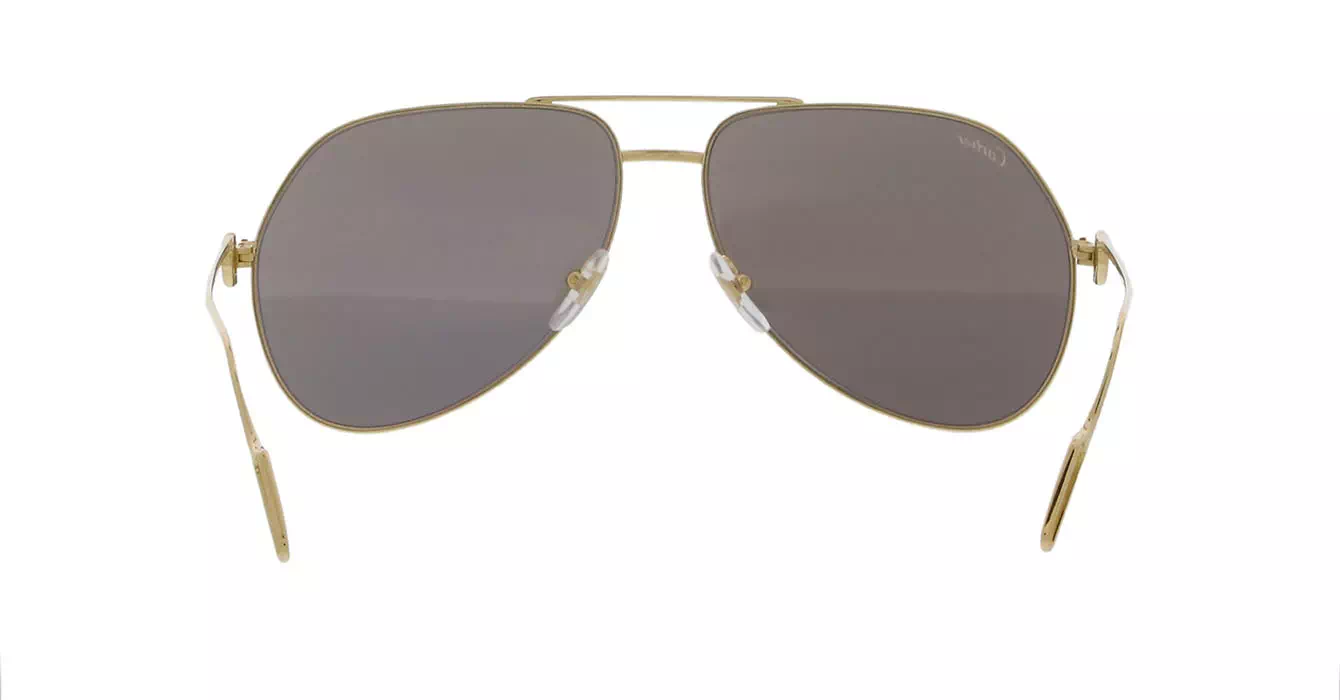 Cartier CT0110S 003