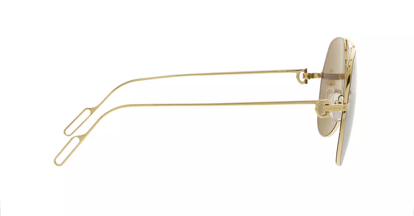 Cartier CT0110S 003