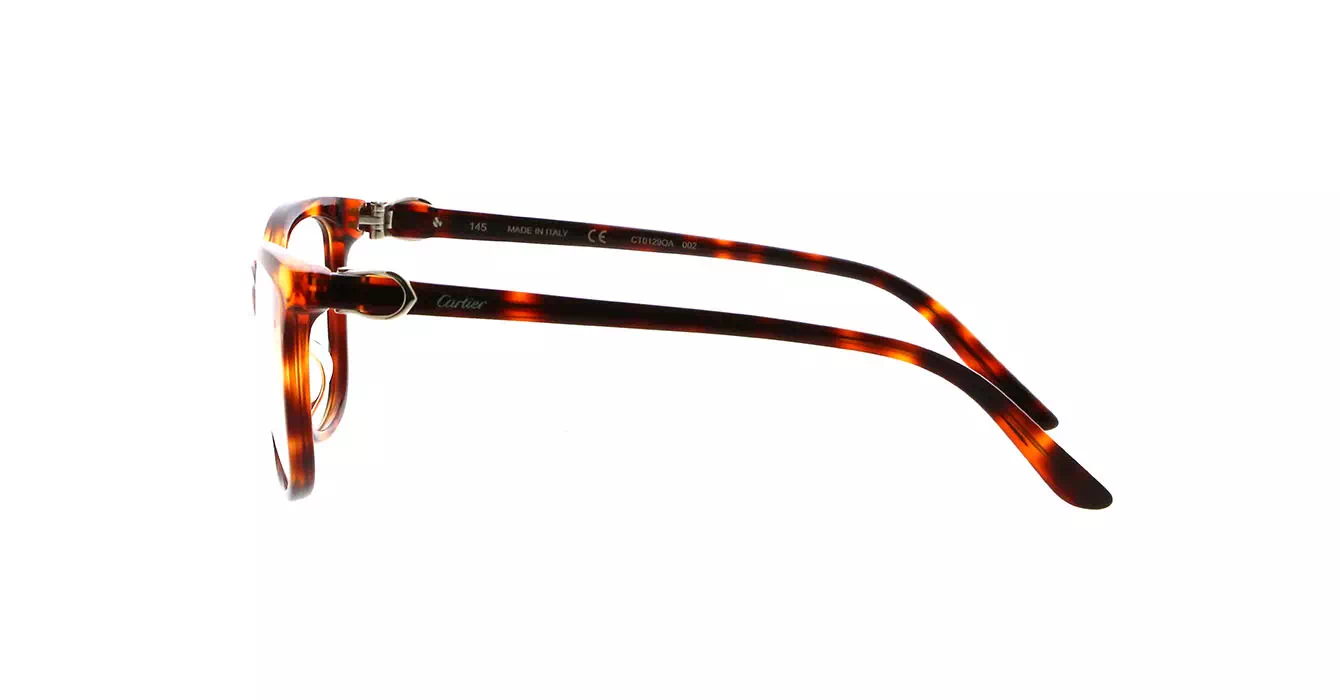 Cartier CT0129OA 002