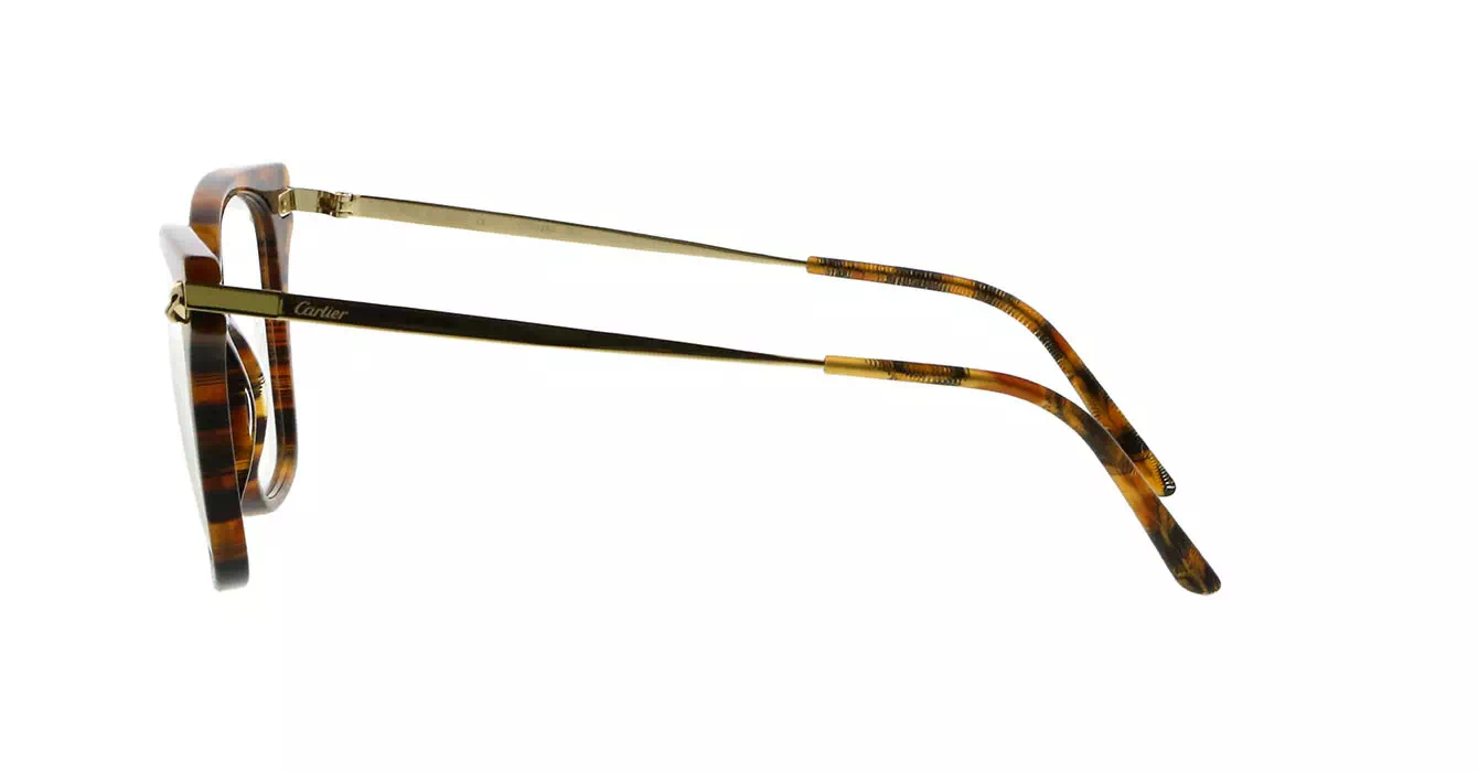 Cartier CT0026O 005