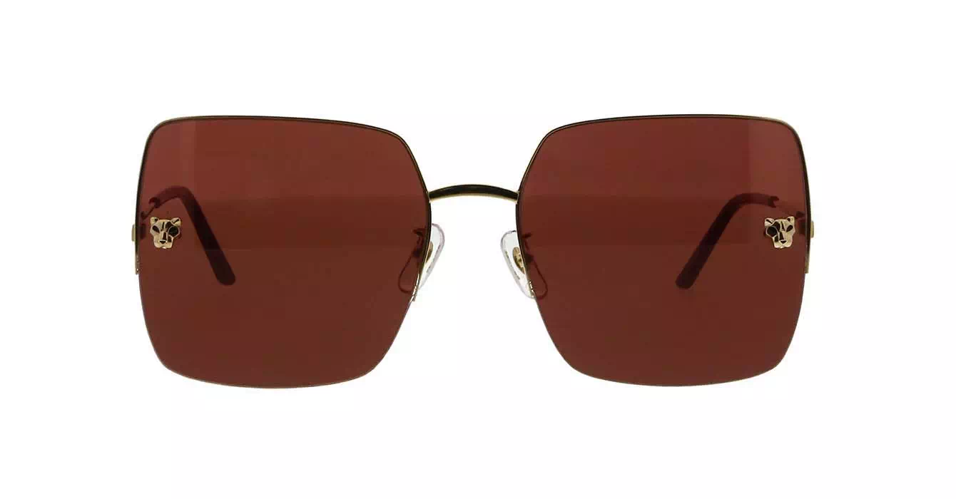 Cartier CT0121SA 003