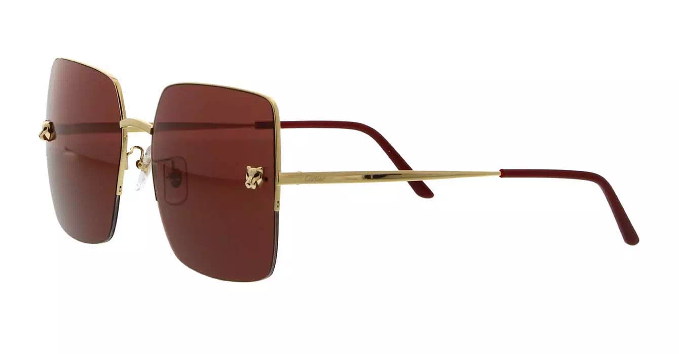 Cartier CT0121SA 003