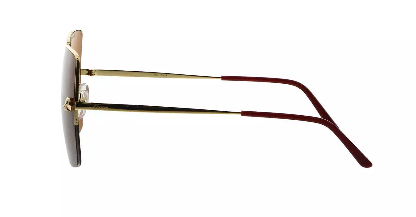 Cartier CT0121SA 003